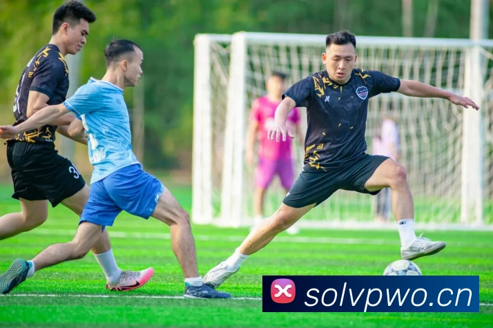 开云官网平台生态图